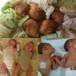 New-Born-Babies